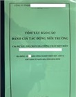 Tóm lược báo cáo ĐTM